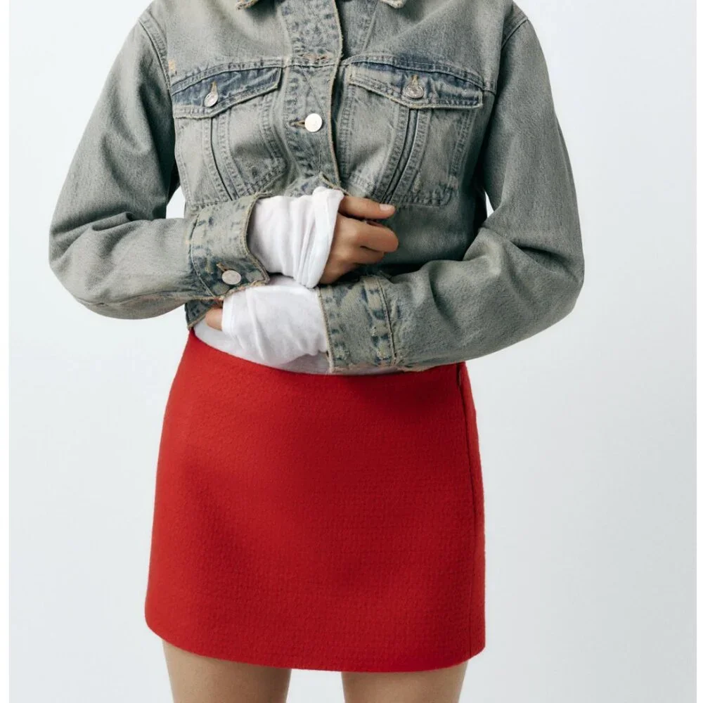 Red Textured Zara Skirt- BNWT- Size XS - Picture 3 of 11